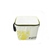 Lunch carry bags for keeping food thermal and cooler with customized printing logo 